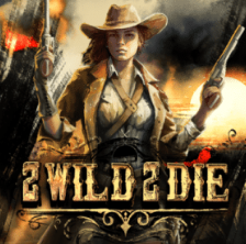 Slot 91 - VOX Casino